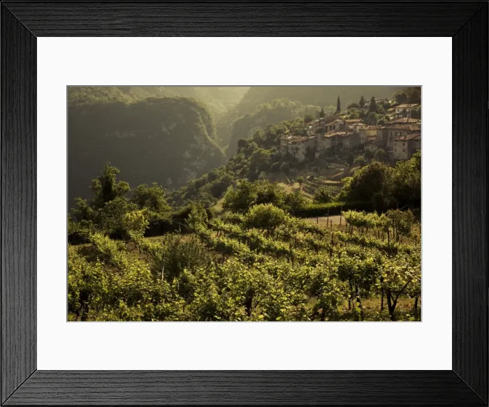 Framed Print : Italy, Lombardy, Lake District, Lake Garda, Tremosine Plateau, Sermerio, vineyards Framed Print : Italy, Lombardy, Lake District, Lake Garda, Tremosine Plateau, Sermerio, vineyards