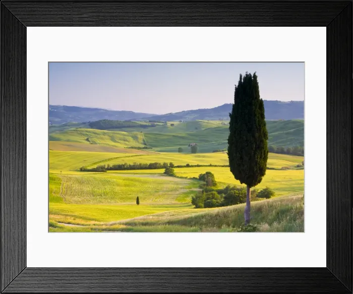 Framed Print : Landscale near Pienza, Val d Orcia, Tuscany, Italy Framed Print : Landscale near Pienza, Val d Orcia, Tuscany, Italy
