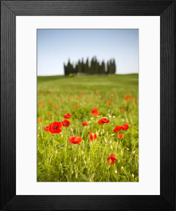 Framed Print : Tuscan landscape, Tuscany, Italy, R Framed Print : Tuscan landscape, Tuscany, Italy, R
