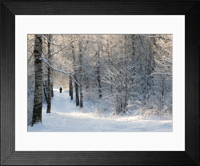 Framed Print : Pilgrims on the way to the Bogorodichno-Uspenskij Monastery, Tikhvin, Leningrad region Framed Print : Pilgrims on the way to the Bogorodichno-Uspenskij Monastery, Tikhvin, Leningrad region