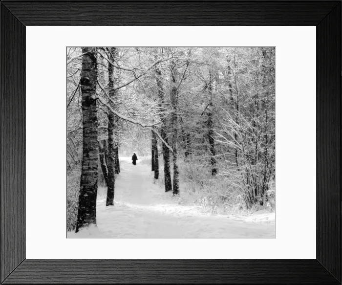 Framed Print : Pilgrims on the way to the Bogorodichno-Uspenskij Monastery, Tikhvin, Leningrad region