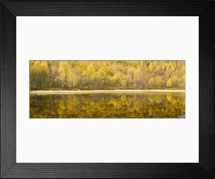 Framed Print : Autumn reflections, Cairngorms National Park, Highlands, Scotland, UK