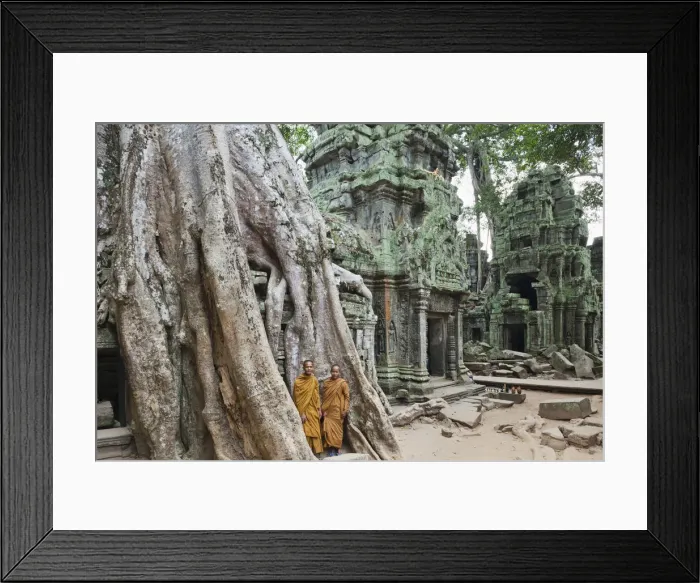 Framed Print : Cambodia, Siem Reap, Angkor, Ta Prohm Temple Framed Print : Cambodia, Siem Reap, Angkor, Ta Prohm Temple