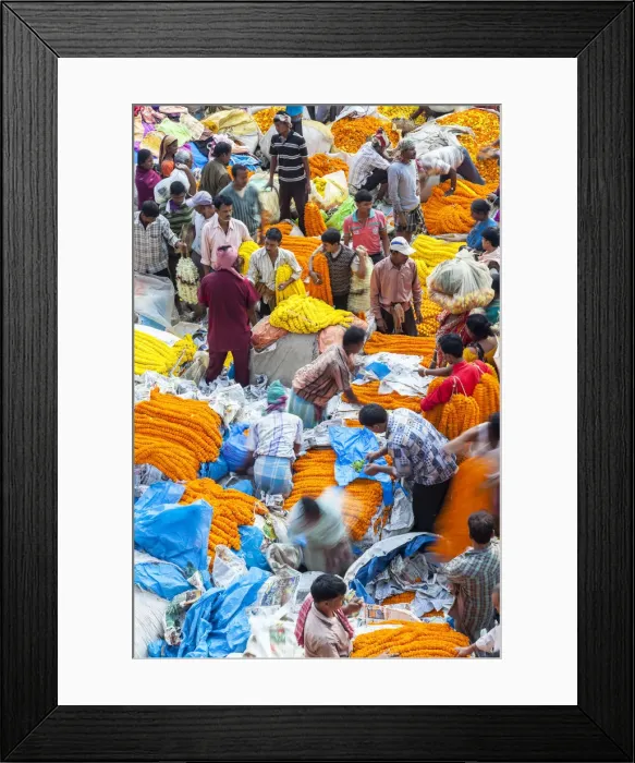 Framed Print : Flower market, Kolkata (Calcutta), India Framed Print : Flower market, Kolkata (Calcutta), India