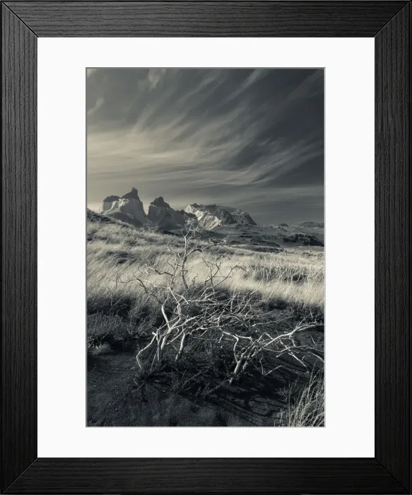 Framed Print : Chile, Magallanes Region, Torres del Paine National Park, landscape by Salto Grande Framed Print : Chile, Magallanes Region, Torres del Paine National Park, landscape by Salto Grande