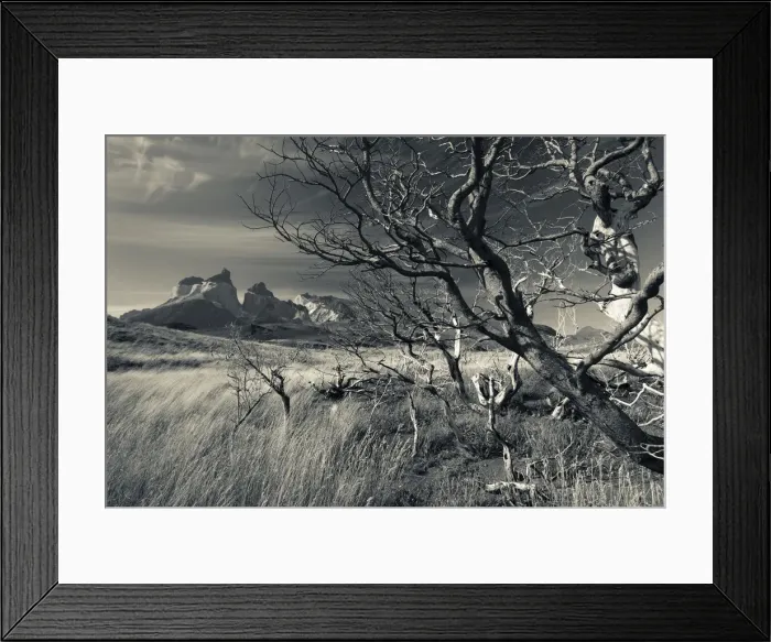 Framed Print : Chile, Magallanes Region, Torres del Paine National Park, landscape by Salto Grande Framed Print : Chile, Magallanes Region, Torres del Paine National Park, landscape by Salto Grande