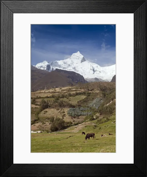 Framed Print : South America, Peru, Ancash, Yungay. View of glaciers on the summit of the 20, 981 ft / 6 Framed Print : South America, Peru, Ancash, Yungay. View of glaciers on the summit of the 20, 981 ft / 6