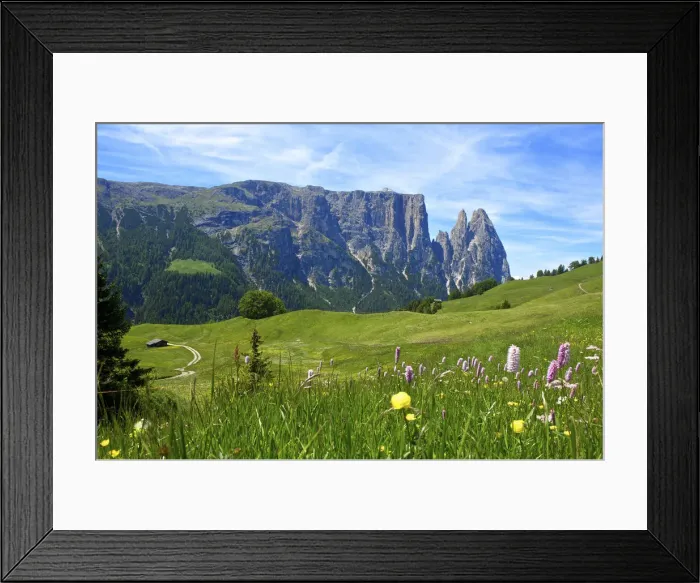 Framed Print : Seiser Alm, Trentino, South Tyrol, Italy Framed Print : Seiser Alm, Trentino, South Tyrol, Italy