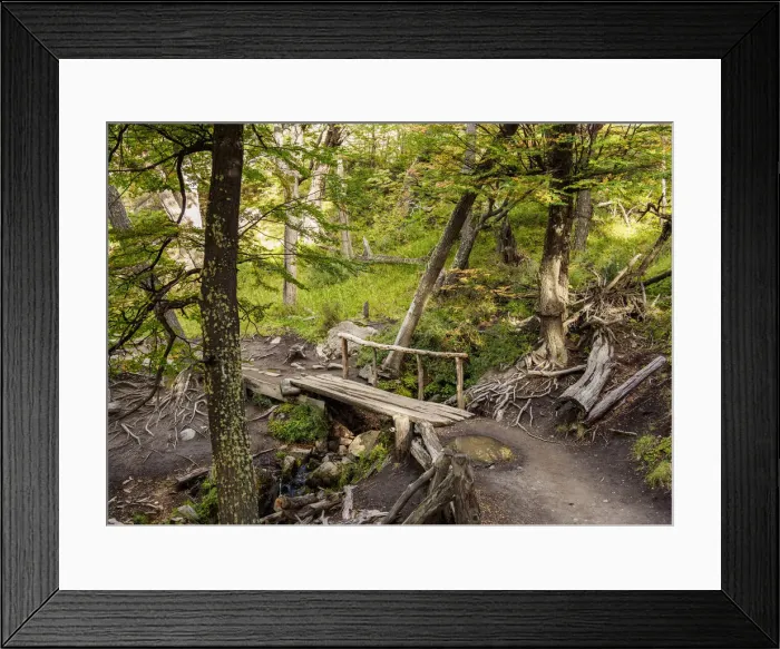 Framed Print : Los Glaciares National Park, El Chalten-Laguna Capri trail, Santa Cruz Province, Patagonia Framed Print : Los Glaciares National Park, El Chalten-Laguna Capri trail, Santa Cruz Province, Patagonia