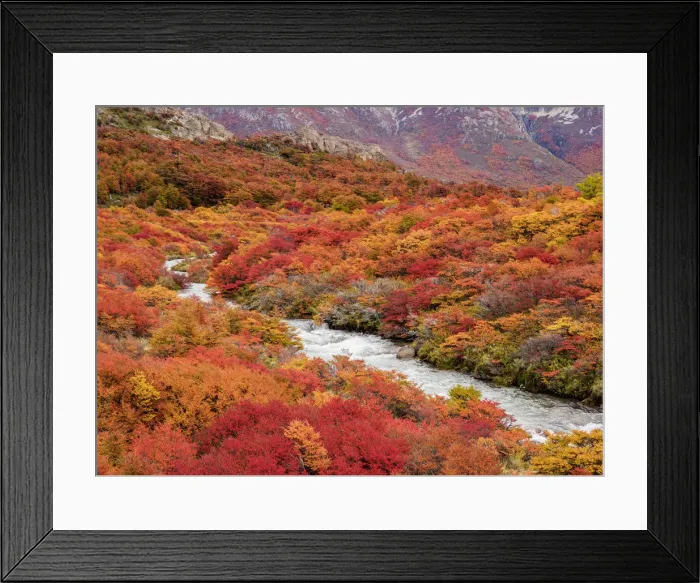 Framed Print : Arroyo del Salto, Los Glaciares National Park, Santa Cruz Province, Patagonia, Argentina Framed Print : Arroyo del Salto, Los Glaciares National Park, Santa Cruz Province, Patagonia, Argentina