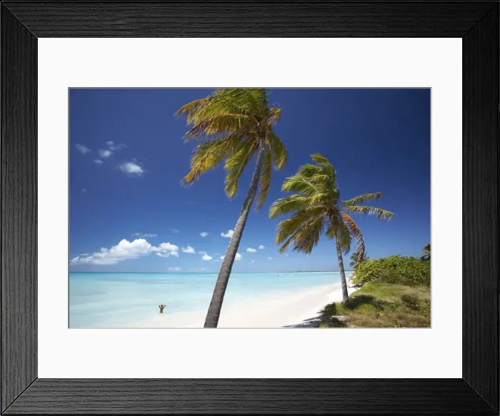 Framed Print : Coco Point, Barbuda, Caribbean, West Indies