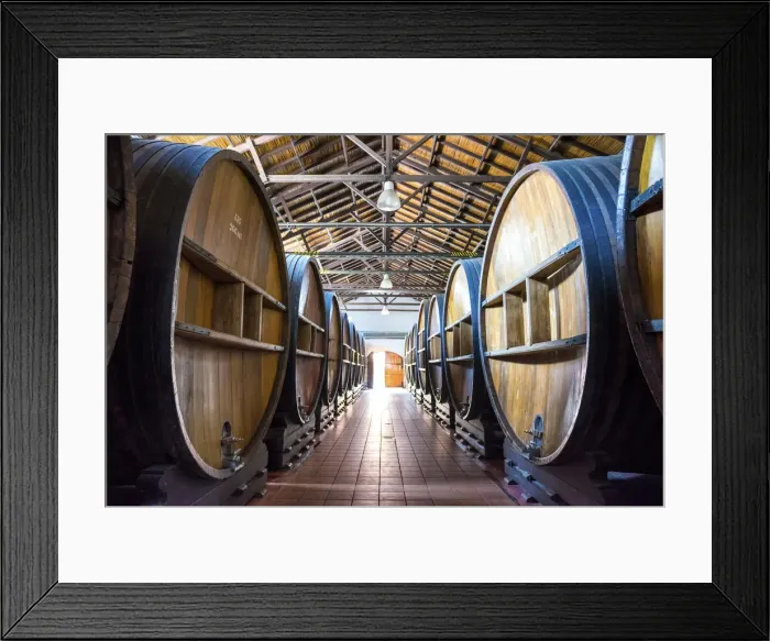Framed Print : Barrels of Wine, Mendoza, Argentina, South America Framed Print : Barrels of Wine, Mendoza, Argentina, South America