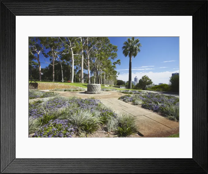Framed Print : Kings Park, Perth, Western Australia, Australia Framed Print : Kings Park, Perth, Western Australia, Australia