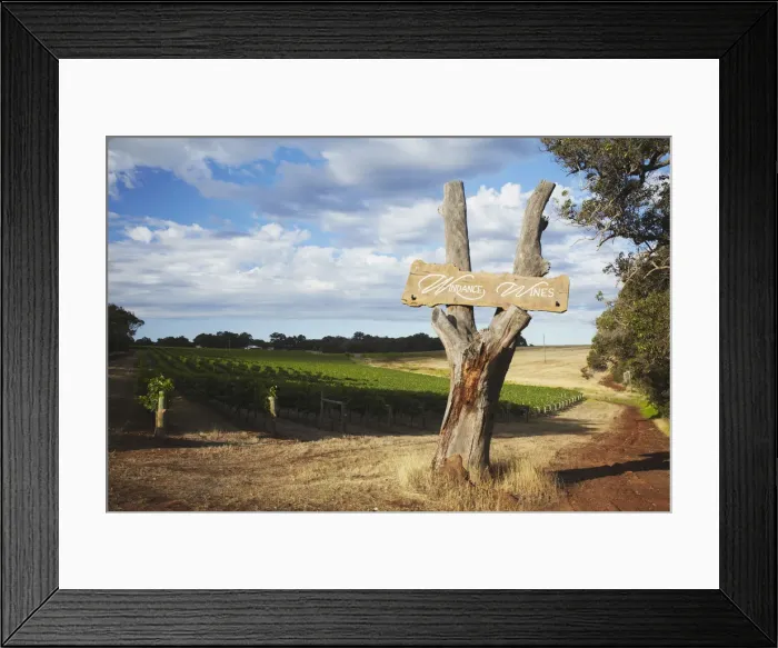 Framed Print : Windance wine estate, Margaret River, Western Australia, Australia Framed Print : Windance wine estate, Margaret River, Western Australia, Australia