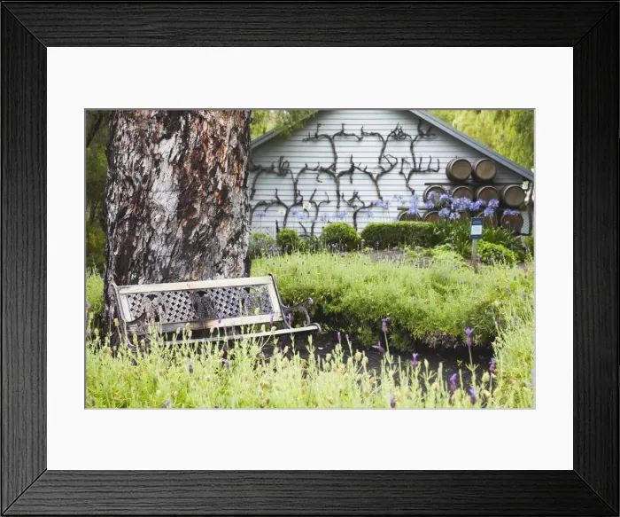 Framed Print : Brookland Valley winery, Margaret River, Western Australia, Australia Framed Print : Brookland Valley winery, Margaret River, Western Australia, Australia
