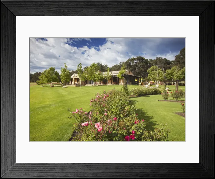 Framed Print : Garden at Laurence wine estate, Margaret River, Western Australia, Australia Framed Print : Garden at Laurence wine estate, Margaret River, Western Australia, Australia