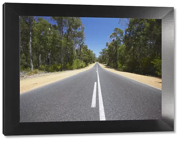 Vasse Highway passing through forests, Western Australia, Australia
