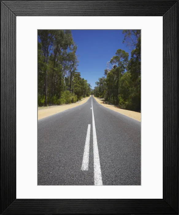 Framed Print : Vasse Highway passing through forests, Western Australia, Australia Framed Print : Vasse Highway passing through forests, Western Australia, Australia