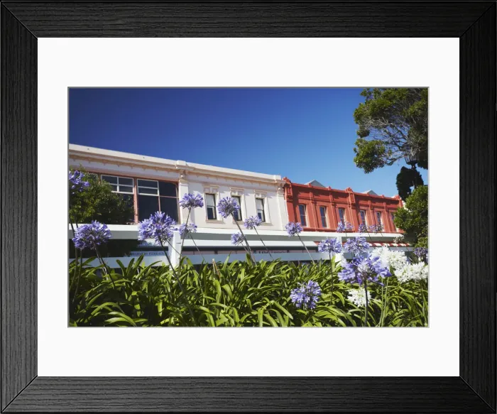 Framed Print : Victorian architecture along Stirling Terrace, Albany, Western Australia, Australia Framed Print : Victorian architecture along Stirling Terrace, Albany, Western Australia, Australia