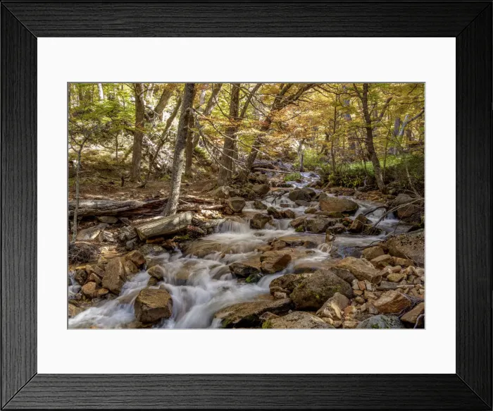 Framed Print : Mountain Stream on the Trail to Refugio Frey, Nahuel Huapi National Park, Rio Negro Framed Print : Mountain Stream on the Trail to Refugio Frey, Nahuel Huapi National Park, Rio Negro