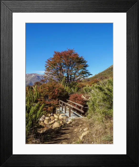 Framed Print : Trail to Refugio Frey, Nahuel Huapi National Park, Rio Negro Province, Argentina Framed Print : Trail to Refugio Frey, Nahuel Huapi National Park, Rio Negro Province, Argentina