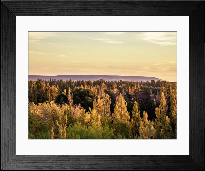Framed Print : Chubut Valley at sunset, elevated view, Gaiman, The Welsh Settlement, Chubut Province