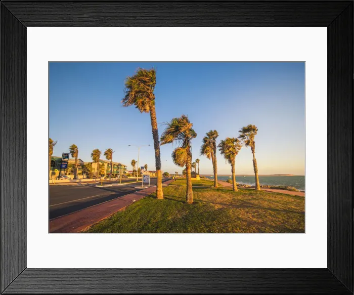 Framed Print : Denham, Shark Bay region, Western Australia, Australia