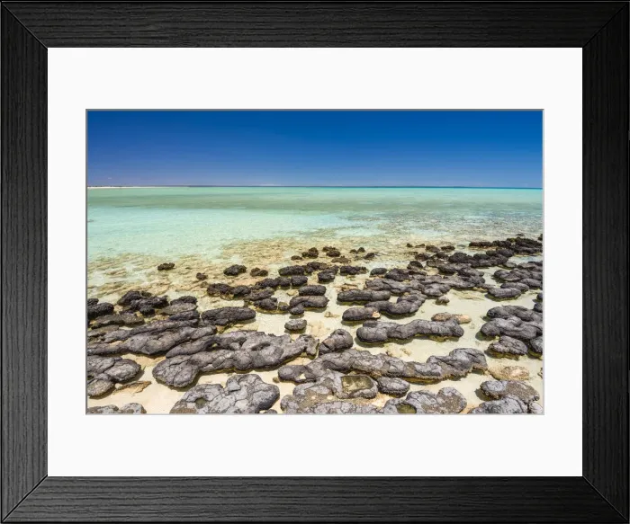 Framed Print : Hamelin Pool Marine Nature Reserve, Shark Bay, Gascoyne region, Western Australia Framed Print : Hamelin Pool Marine Nature Reserve, Shark Bay, Gascoyne region, Western Australia