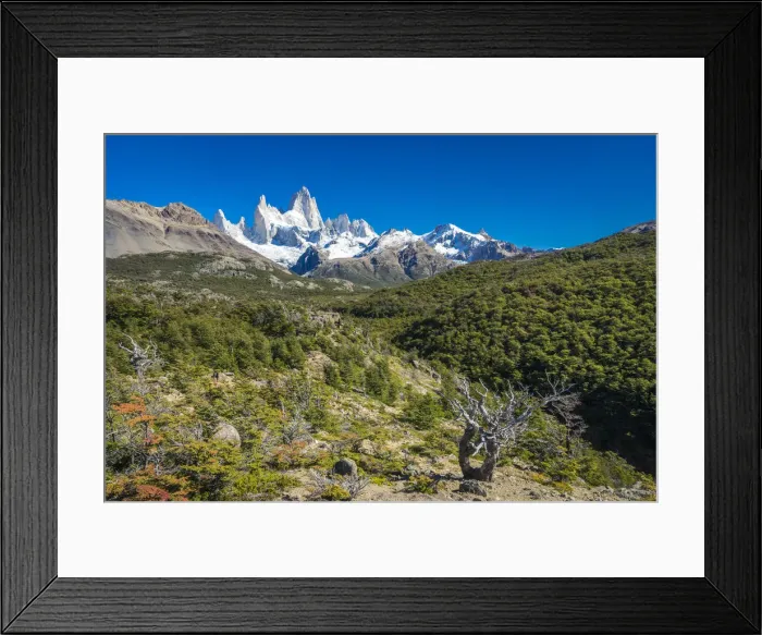 Framed Print : Fitz Roy mountain, Sendero al Fitz Roy, UNESCO, Los Glaciares National Park, El Chalten Framed Print : Fitz Roy mountain, Sendero al Fitz Roy, UNESCO, Los Glaciares National Park, El Chalten