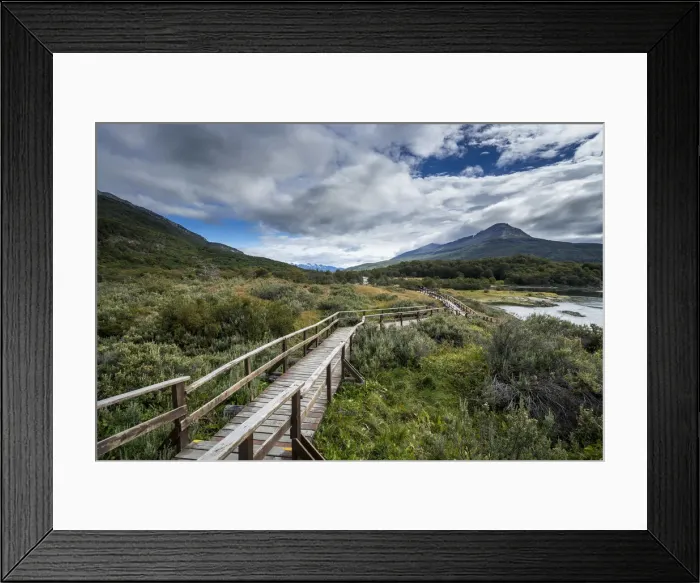 Framed Print : Wooden boardwalk over plants near Bahia Lapataia, Tierra del Fuego National Park Framed Print : Wooden boardwalk over plants near Bahia Lapataia, Tierra del Fuego National Park