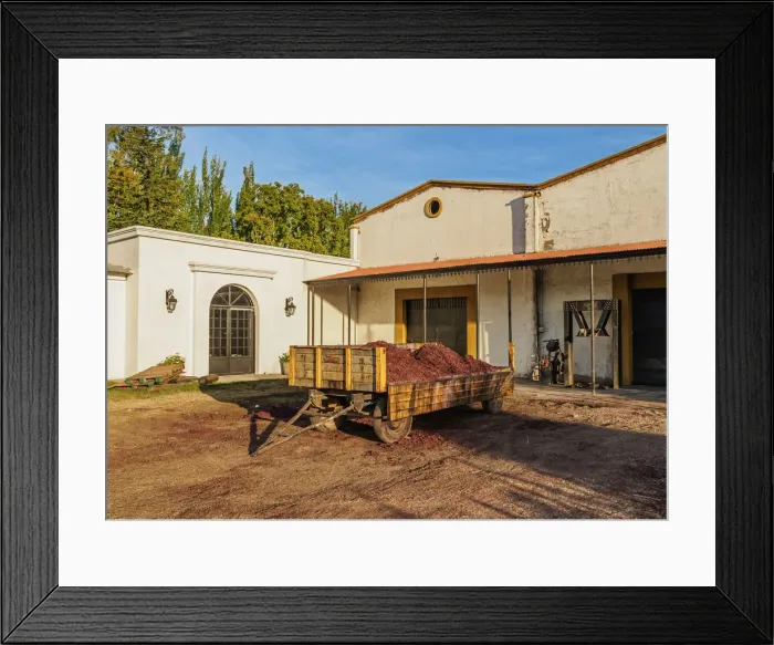 Framed Print : Bodega Viamonte, winery, Lujan de Cuyo, Mendoza Province, Argentina Framed Print : Bodega Viamonte, winery, Lujan de Cuyo, Mendoza Province, Argentina