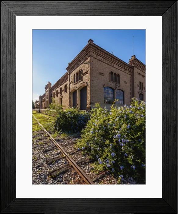Framed Print : Trapiche Winery, Coquimbito, Mendoza Province, Argentina