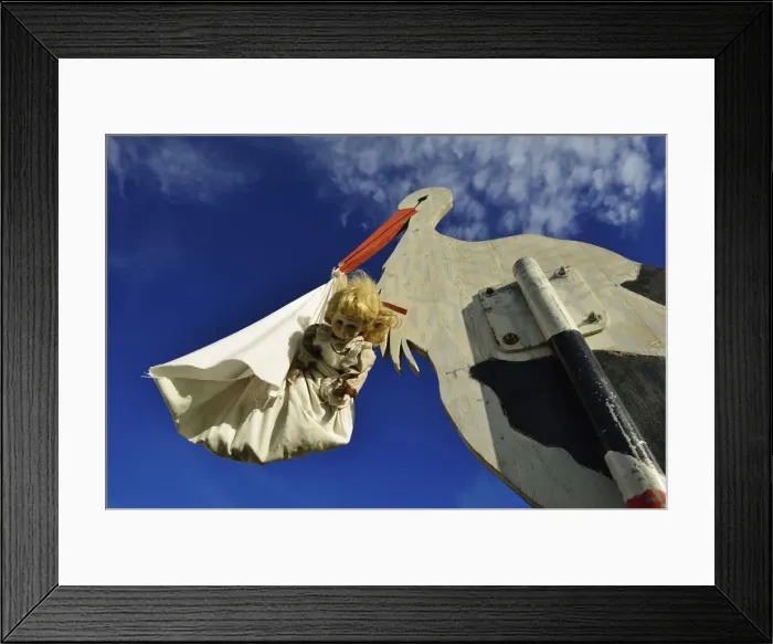 Framed Print : Wooden statue of a Stork and baby, Tannberg, Kostendorf Wallersee, Salzburg Lake District Framed Print : Wooden statue of a Stork and baby, Tannberg, Kostendorf Wallersee, Salzburg Lake District