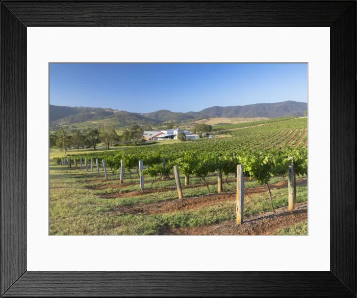 Framed Print : Ben Ean Wine Estate, Hunter Valley, New South Wales, Australia Framed Print : Ben Ean Wine Estate, Hunter Valley, New South Wales, Australia