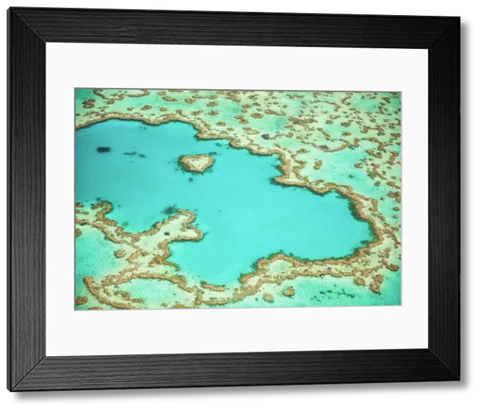Framed Print : Great Barrier Reef, Queensland, Australia Framed Print : Great Barrier Reef, Queensland, Australia