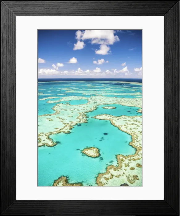 Framed Print : Great Barrier Reef, Queensland, Australia Framed Print : Great Barrier Reef, Queensland, Australia