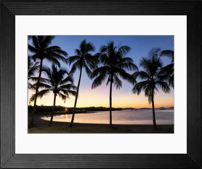 Framed Print : Palm Trees at Sunset, Airlie Beach, Queensland, Australia