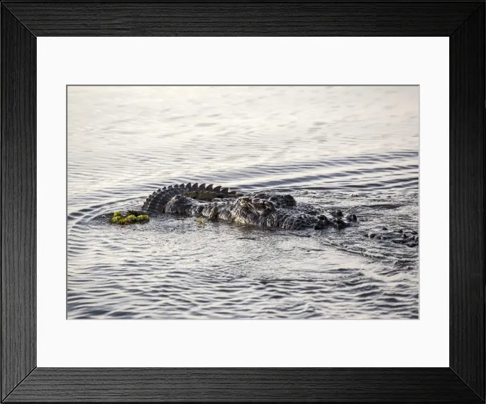 Framed Print : Kakadu National Park, Top End, Northern Territory, Australia Framed Print : Kakadu National Park, Top End, Northern Territory, Australia
