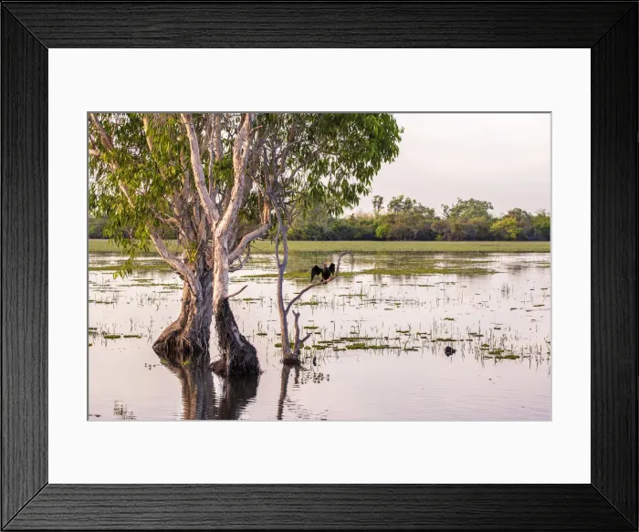 Framed Print : Kakadu National Park, Top End, Northern Territory, Australia Framed Print : Kakadu National Park, Top End, Northern Territory, Australia