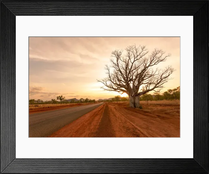 Framed Print : The Kimberley, typical western australia landscape. Baobab trees Framed Print : The Kimberley, typical western australia landscape. Baobab trees
