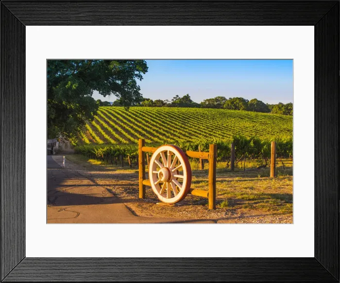 Framed Print : Barossa Valley, South Australia, Australia Framed Print : Barossa Valley, South Australia, Australia