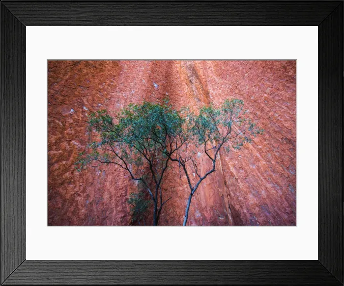 Framed Print : Uluru (Ayers Rock), Uluru-Kata Tjuta National Park, Northern Territory, Central Australia Framed Print : Uluru (Ayers Rock), Uluru-Kata Tjuta National Park, Northern Territory, Central Australia