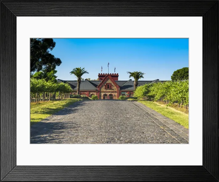 Framed Print : Vineyard at Chateau Tanunda, Tanunda, Barossa Valley, South Australia, Australia Framed Print : Vineyard at Chateau Tanunda, Tanunda, Barossa Valley, South Australia, Australia