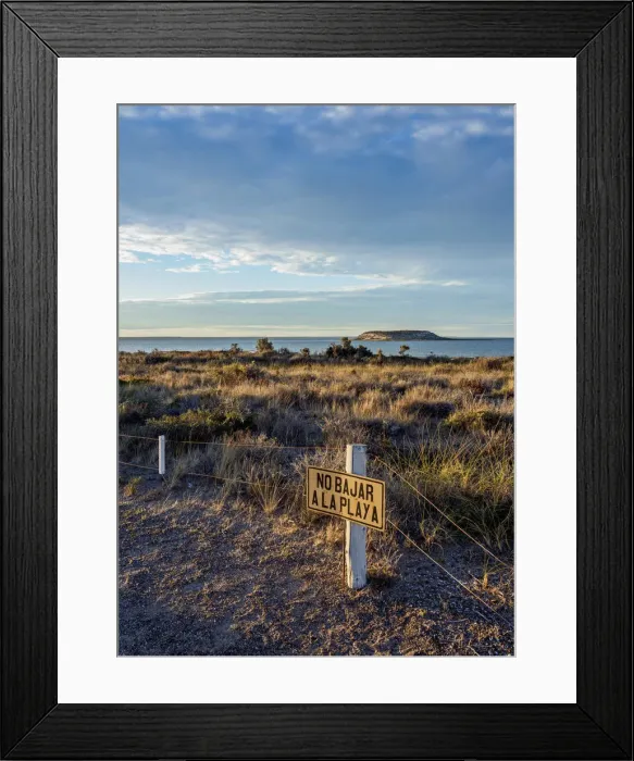 Framed Print : Isla de los Pajaros, Valdes Peninsula, UNESCO World Heritage Site, Chubut Province Framed Print : Isla de los Pajaros, Valdes Peninsula, UNESCO World Heritage Site, Chubut Province