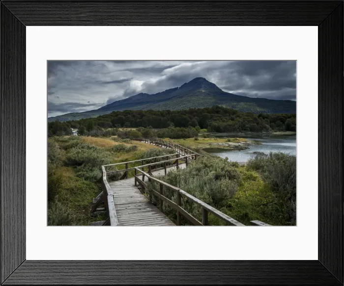 Framed Print : Wooden boardwalk over plants near Bahia Lapataia, Tierra del Fuego National Park Framed Print : Wooden boardwalk over plants near Bahia Lapataia, Tierra del Fuego National Park