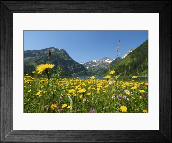 Framed Print : Lake Vilsalpsee, Tannheim Valley, Austria Framed Print : Lake Vilsalpsee, Tannheim Valley, Austria