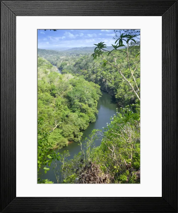 Framed Print : Central America, Belize, Cayo, San Ignacio, view of the Mopan river surrounded by Framed Print : Central America, Belize, Cayo, San Ignacio, view of the Mopan river surrounded by