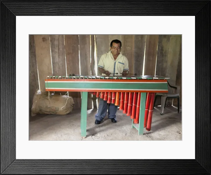 Framed Print : Central America, Belize, Toledo, Aguacate, a Qeqchi-Maya man playing the marimba Framed Print : Central America, Belize, Toledo, Aguacate, a Qeqchi-Maya man playing the marimba