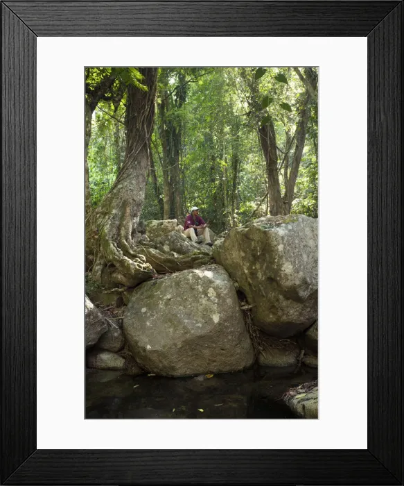 Framed Print : Central America, Belize, Stann Creek, Mayflower Bocawina National Park, a guide sits Framed Print : Central America, Belize, Stann Creek, Mayflower Bocawina National Park, a guide sits