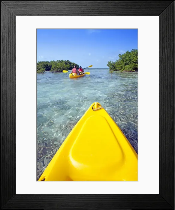 Framed Print : Central America, Belize, a point of view shot of kayaking through mangrove cayes in Framed Print : Central America, Belize, a point of view shot of kayaking through mangrove cayes in